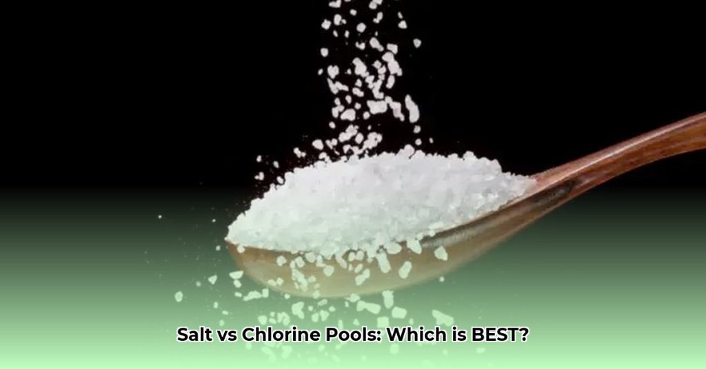 Saltwater vs Chlorine Pool: Ultimate Guide to Choosing Your System ...
